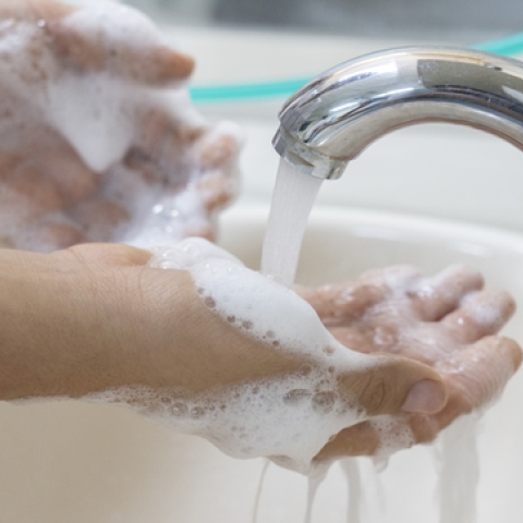 jabon liquido antibacterial